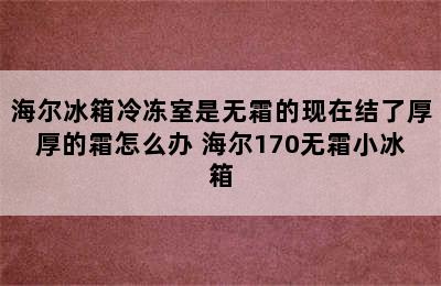 海尔冰箱冷冻室是无霜的现在结了厚厚的霜怎么办 海尔170无霜小冰箱